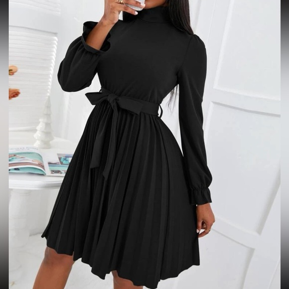 Luxe turtleneck flounce sleeve pleated dress - Picture 15 of 16